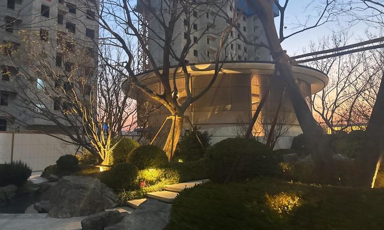 中海·津華玖章实景图