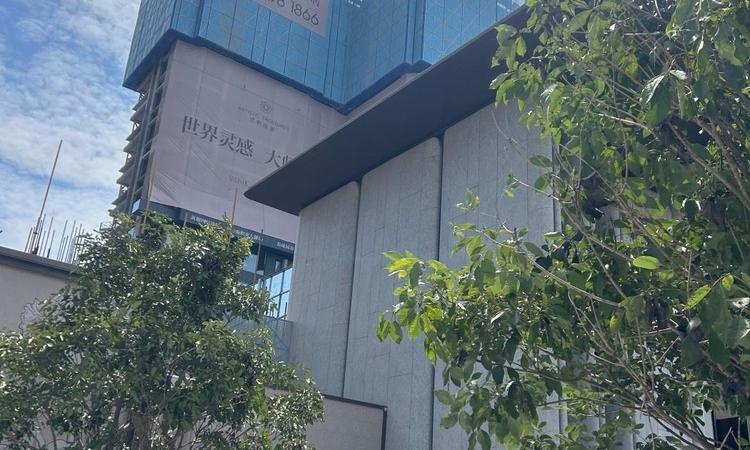 保利瑧誉施工进度图