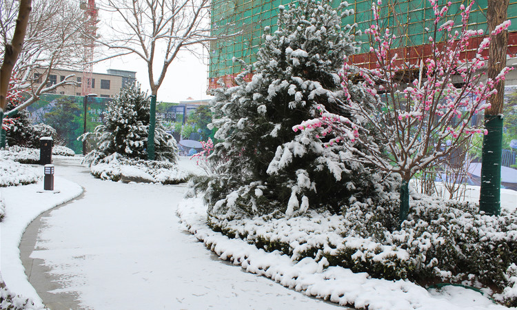 公园和府实景图