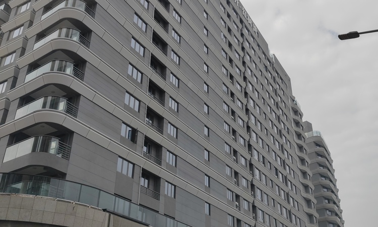 中信城开红树湾施工进度图