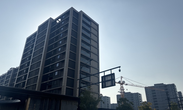 汀南学仕府施工进度图