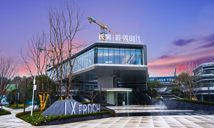 长房岭秀时代实景图