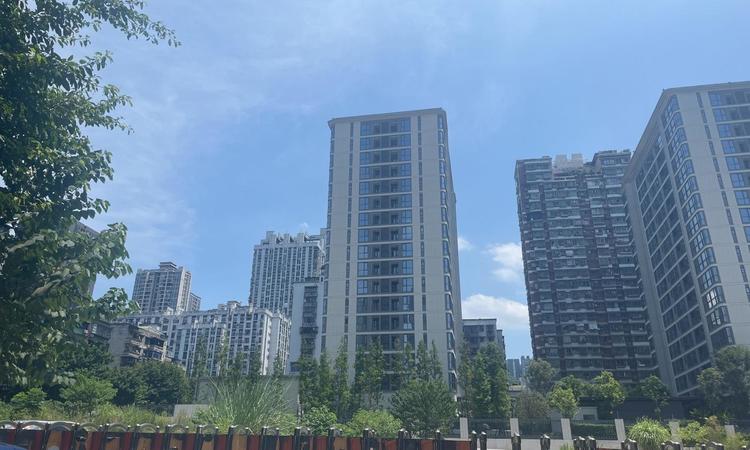 中海璟尚施工进度图