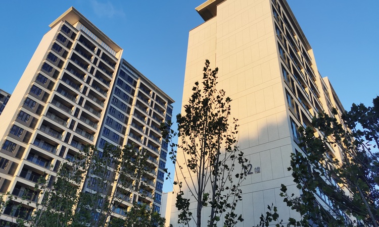 中建·玖里书香施工进度图