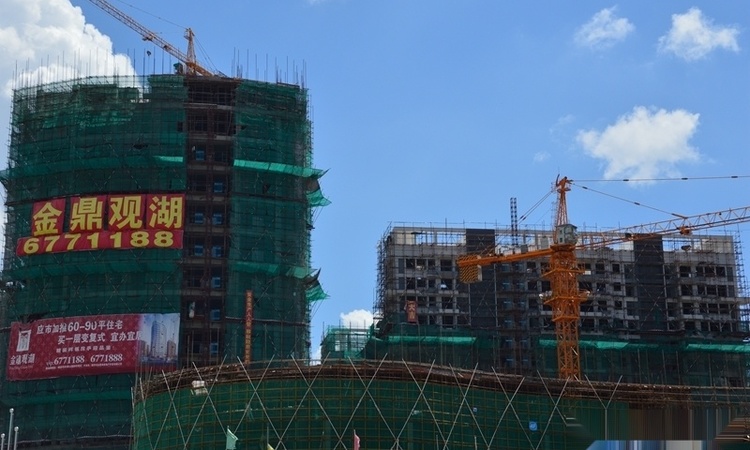 金鼎观湖实景图