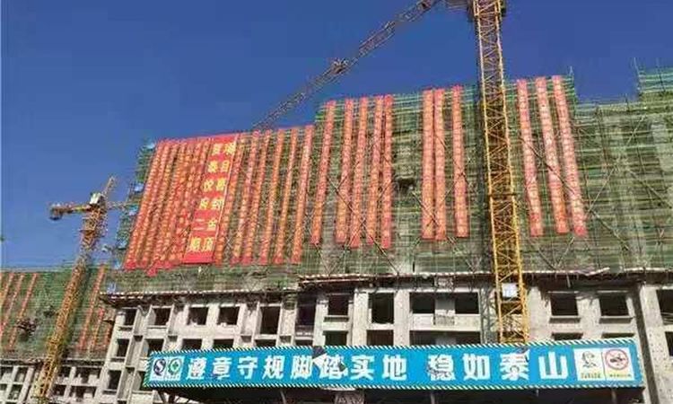 泰悦府施工进度图