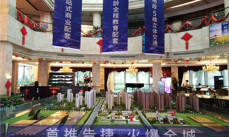 步步高置业·新天地实景图