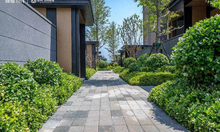 绿城官山园著样板间