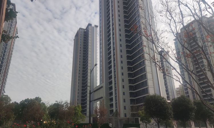 晴樾府施工进度图