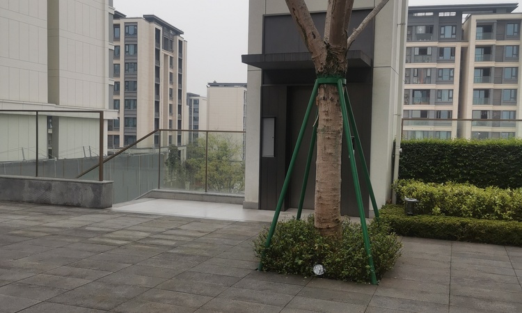 中交锦程施工进度图