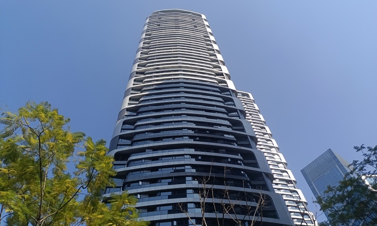 江北嘴壹号院·东苑施工进度图