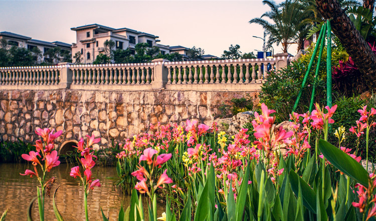 客天下碧桂园效果图