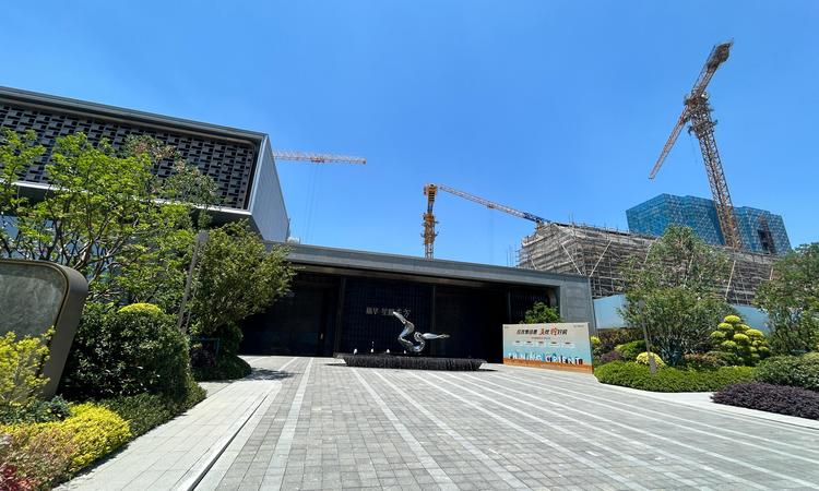 新华星耀东方实景图