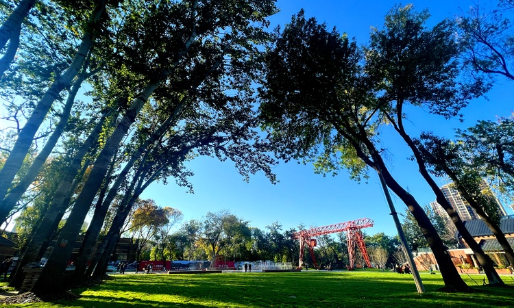 格调锦云周边配套图