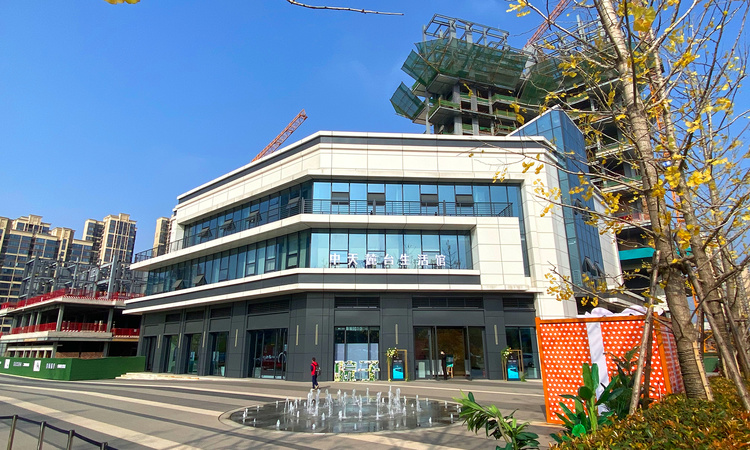 中天麓台施工进度图