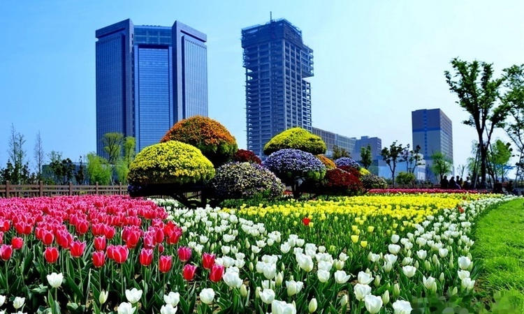 2077·中央公园周边配套图