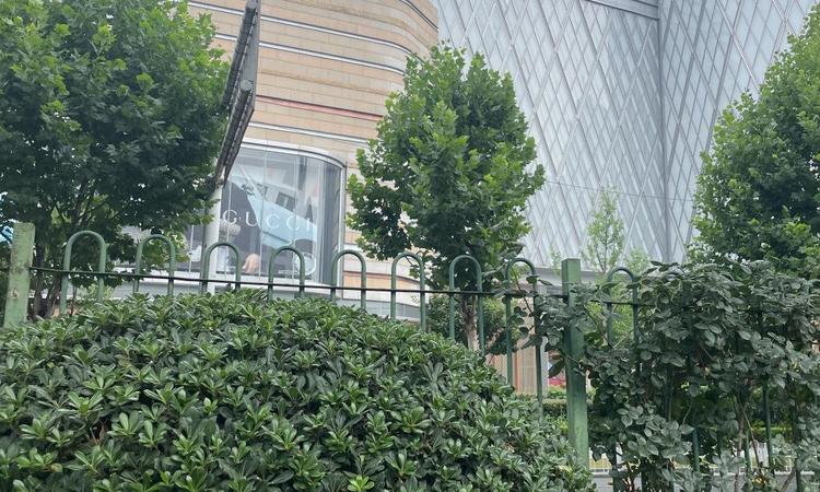 金地汉口峯汇周边配套图