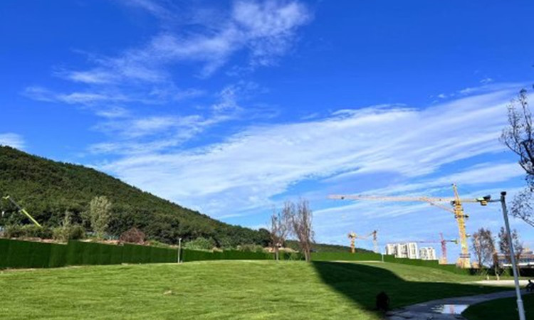 远洋塔河湾施工进度图