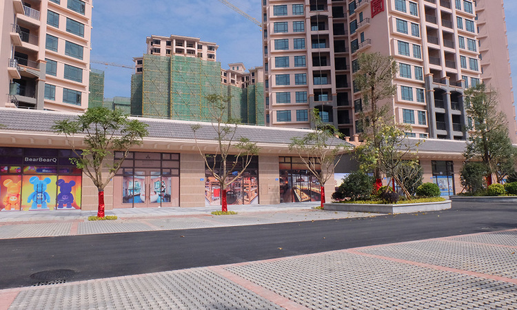 景业东湖洲豪园施工进度图