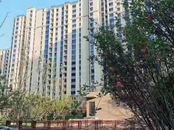 京东狮子城实景图