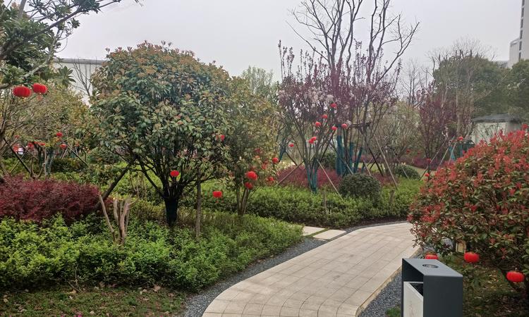 城投东方领誉实景图