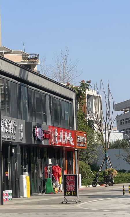 世界城瑜樾东方施工进度图