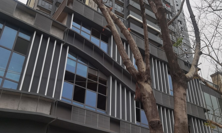 云璞花园施工进度图