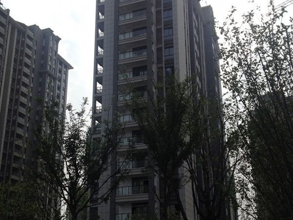 平湖观邸实景图