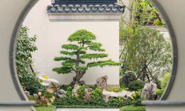 绿城庐境桃源实景图