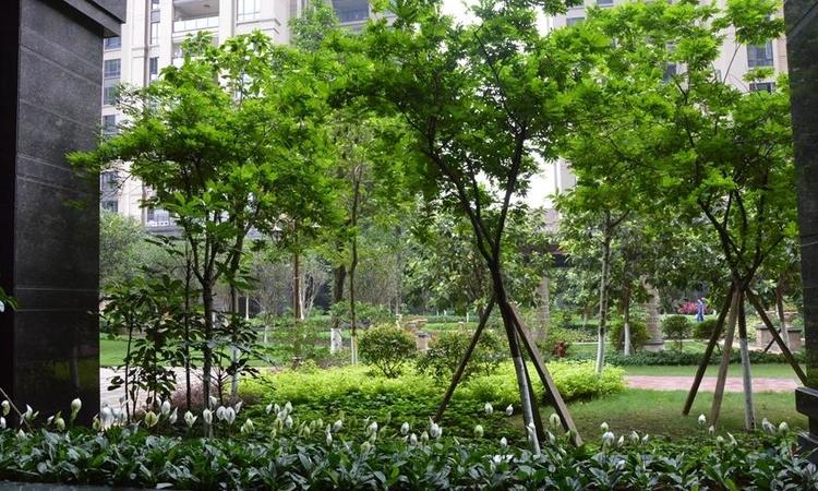 盛世名都二期实景图