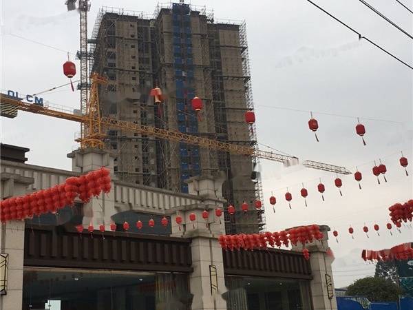 拉菲庄园  实景图