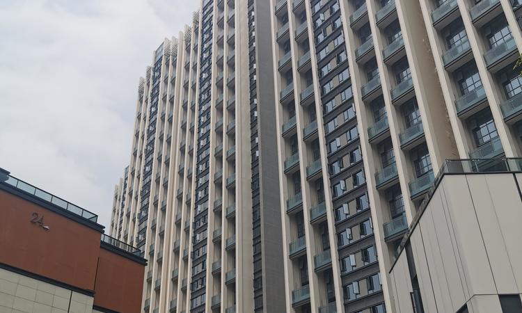 中冶逸璟台施工进度图