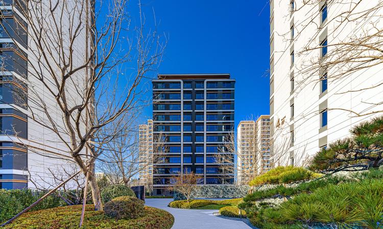 越秀星樾实景图