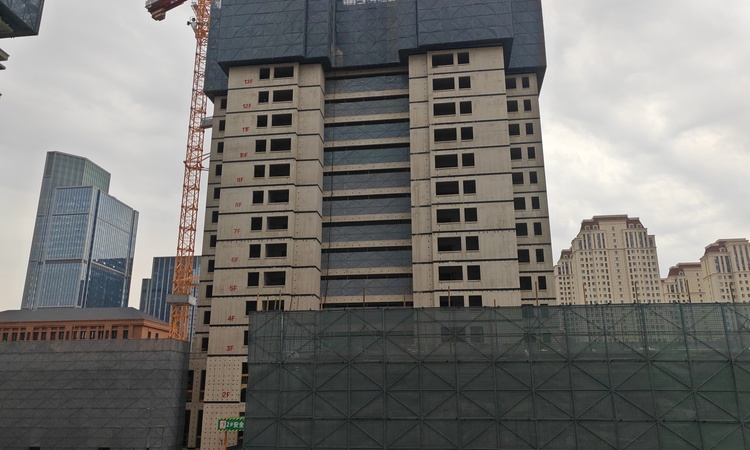 泰达格调观麟花园二期施工进度图