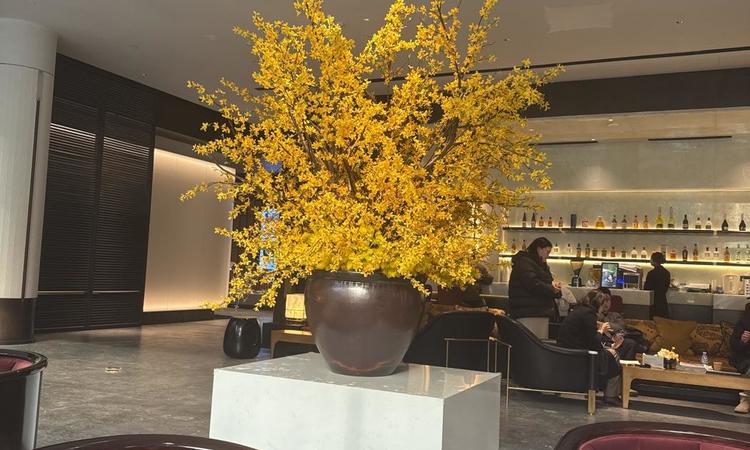 金茂璞逸丰宜实景图