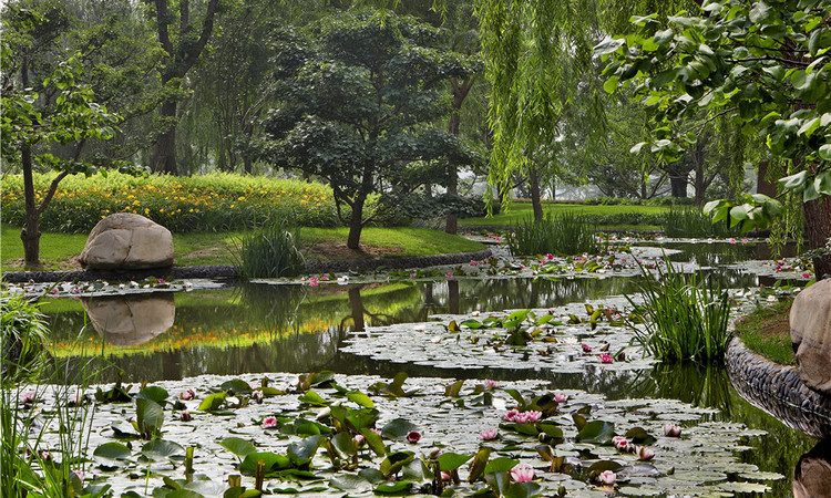 太原星河湾6号园周边配套图