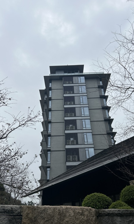 合景·臻颐府施工进度图