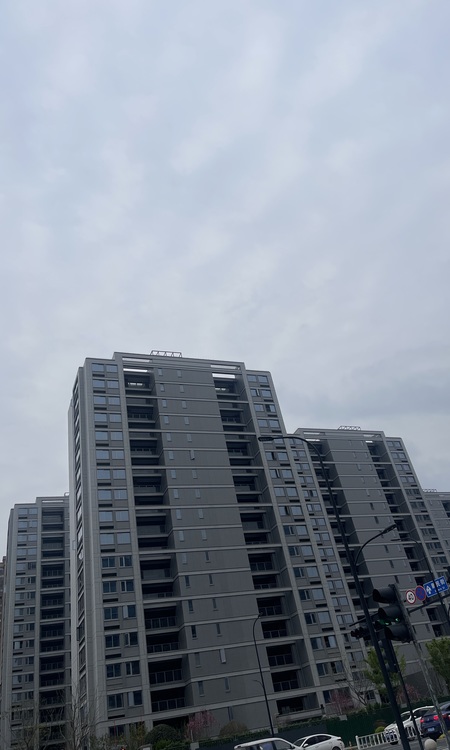 中天宸著锦庭实景图