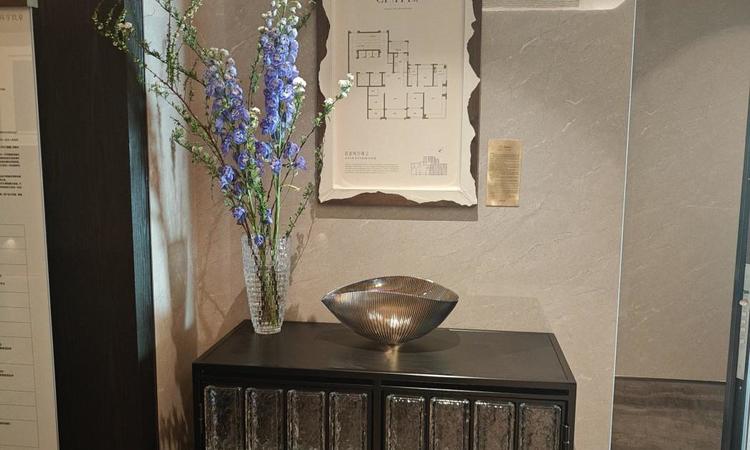 中海·环宇玖章样板间