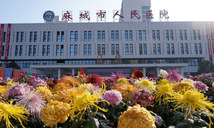 力高·君悦府周边配套图