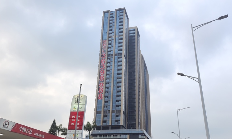 合景同创·臻林天汇实景图