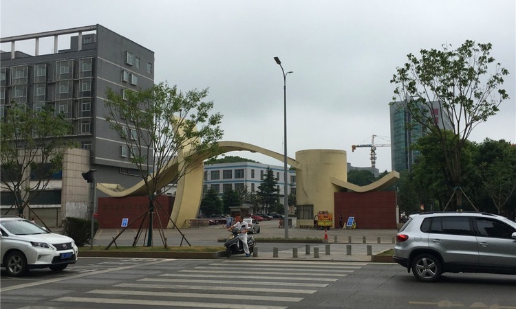 东方名苑·首府实景图