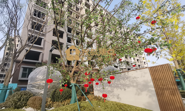 天鸿·万象实景图