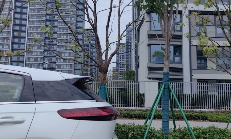 中海观江樾施工进度图