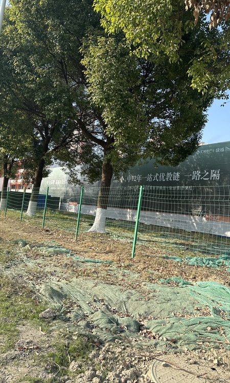 绿城桂语映月施工进度图