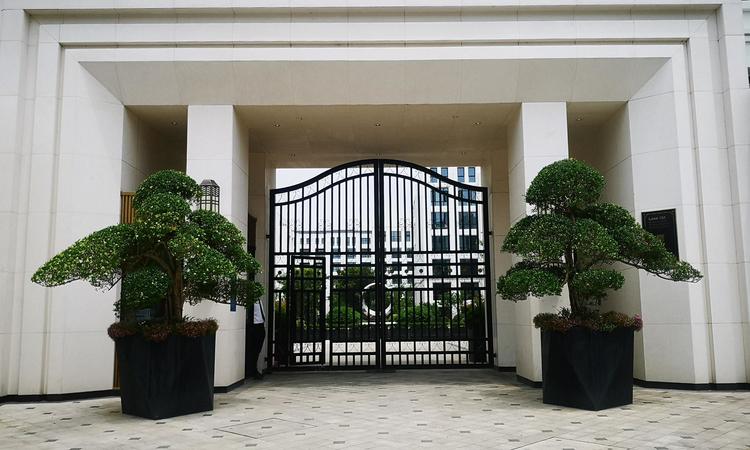 佩玛山丘实景图