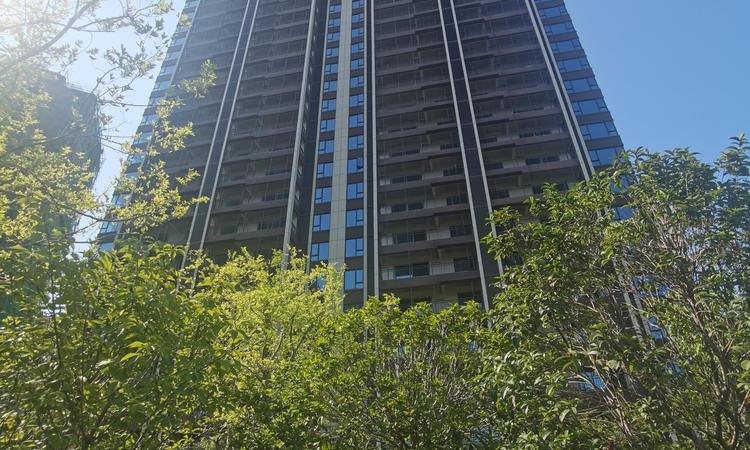 蓝天湖岸实景图