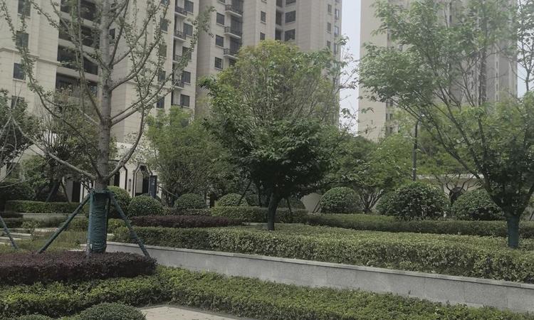 万科华生公园大道实景图