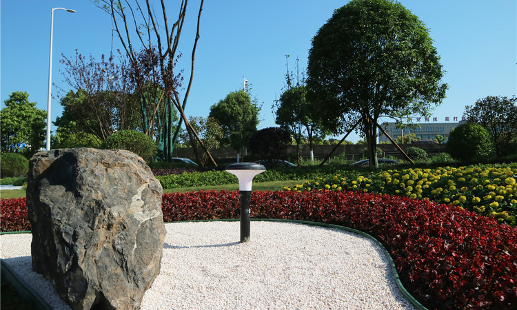 伟大枫溪学府实景图