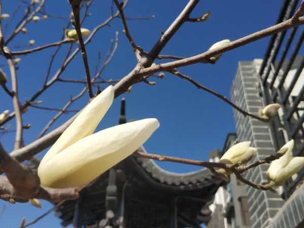 佛山盛景实景图